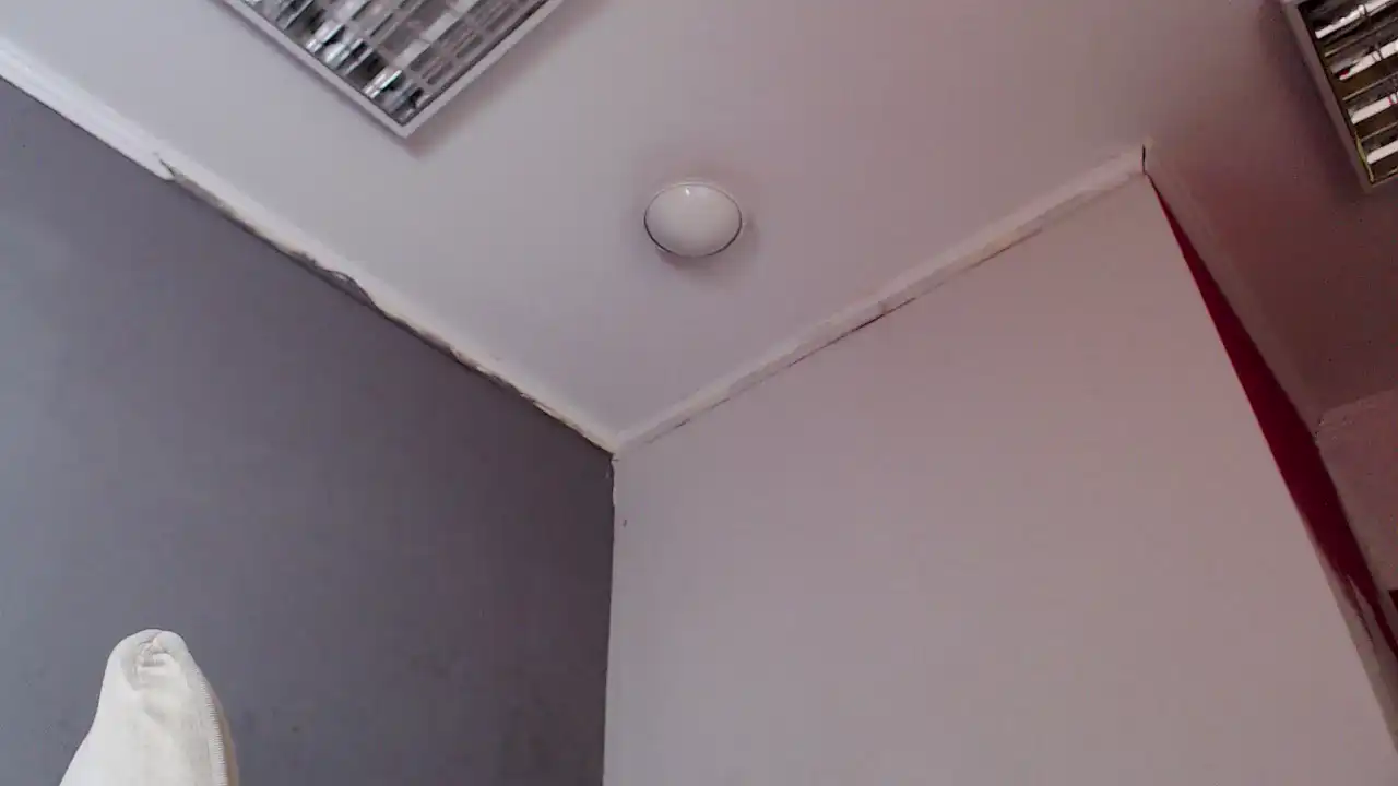 Prysuaa_ - Showup Live Video Recording - 2025 01-23 08:47:24